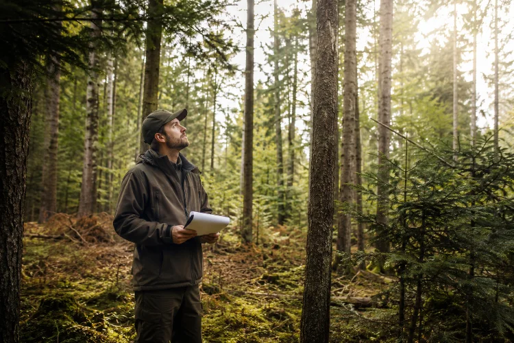 Understanding Silviculture for Sustainable Forest Management